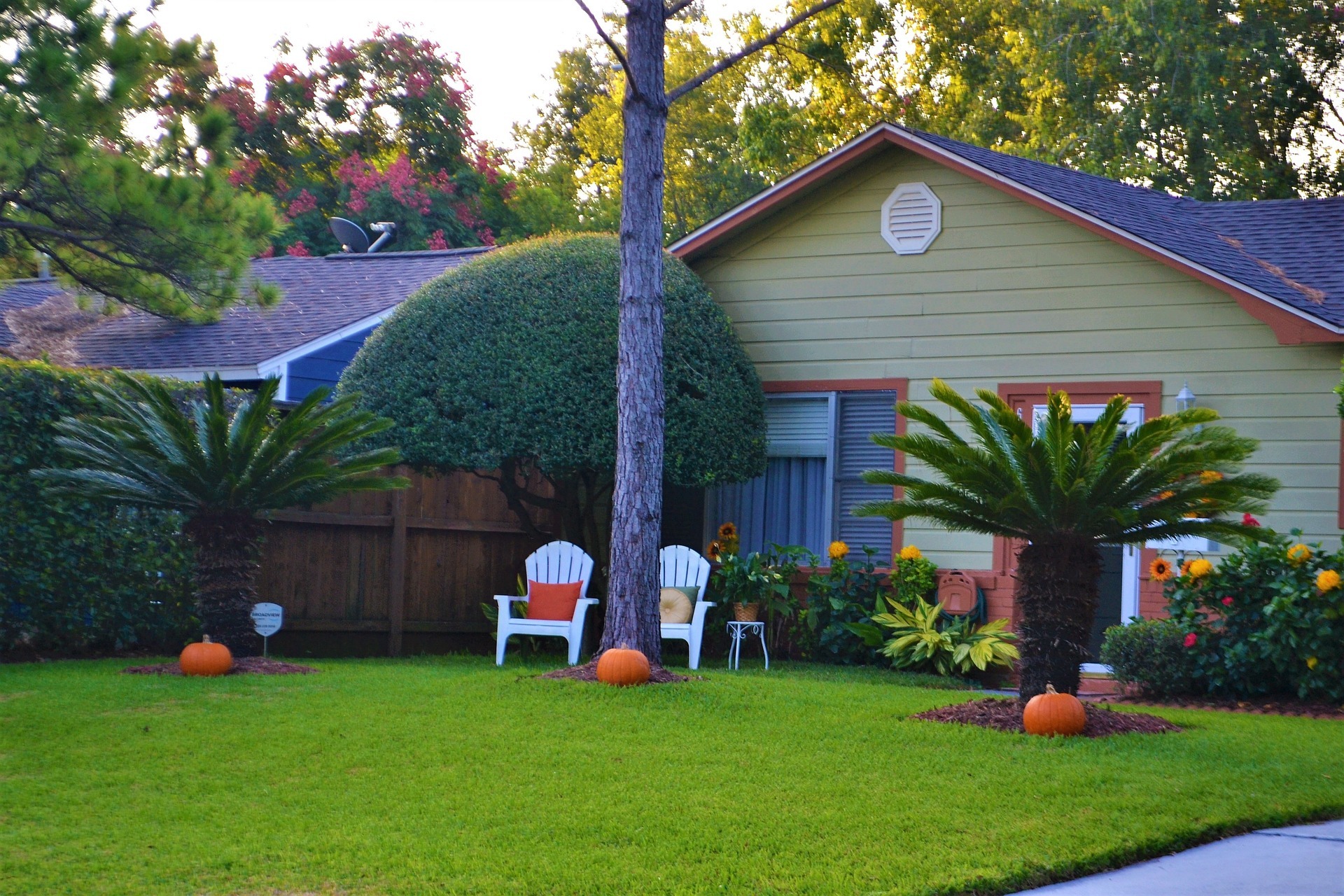 home lawn
