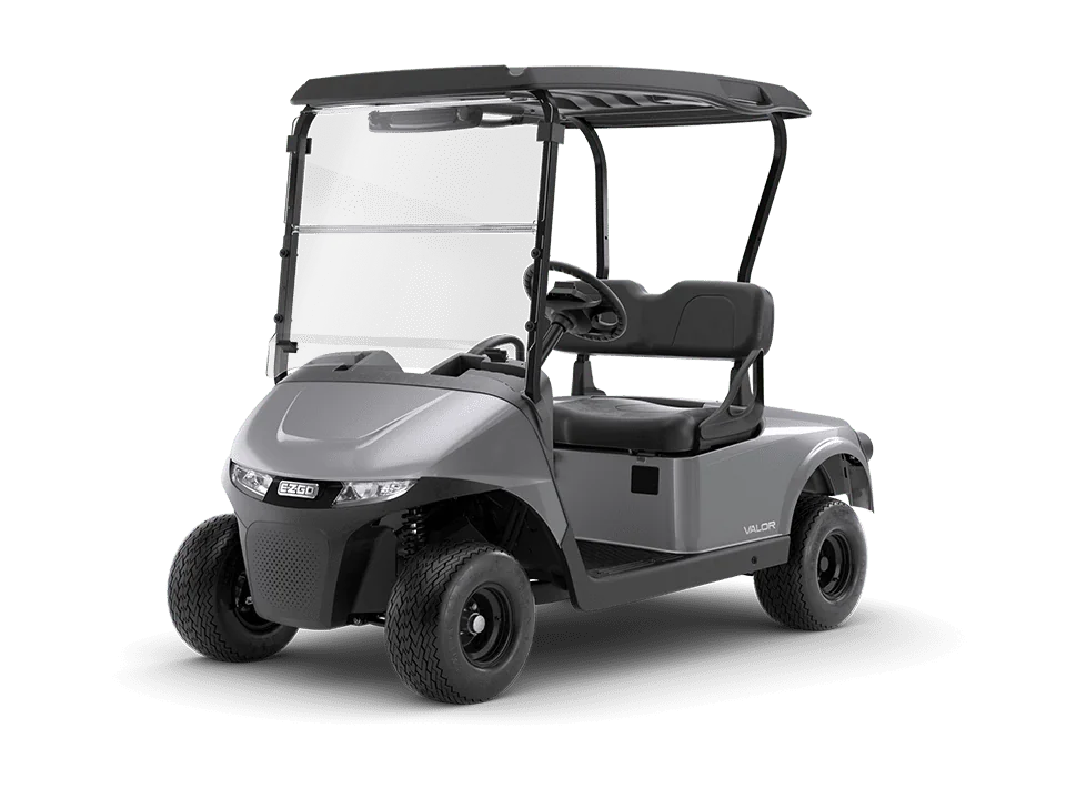 Valor v08 960 x720 Platinum
